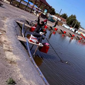 @爱钓鱼的李阳头像