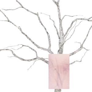 我的心脏有淤青头像