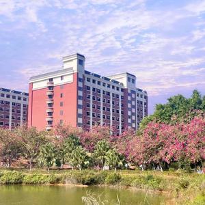 广东省华立技师胡老师头像