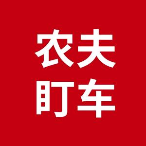 农夫盯车官方行车记录仪店头像