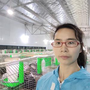 江西兔姐头像