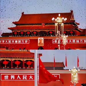 铠甲与软肋头像