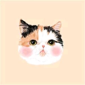 猫传腹治疗一站式救助头像