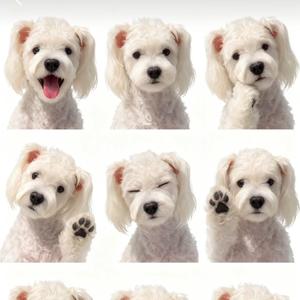 魏魏爱晚睡❤️头像