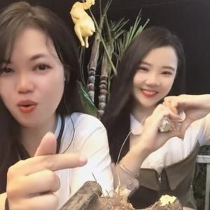 村里的小芳宝贝头像