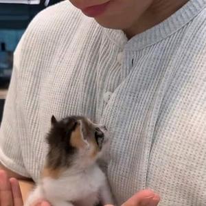 玖柒爱吃冰淇林头像