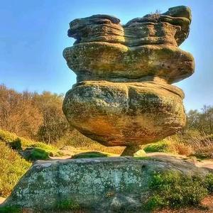 龙马行程#薛永龙头像