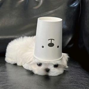 A珠海回收电脑杰哥（大学生版）头像