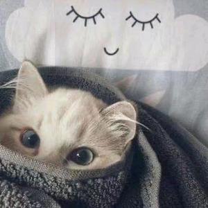 百货杂货铺头像