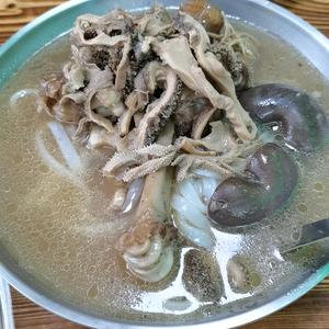 Mei菲菲 推文头像