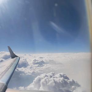 智慧引航者头像