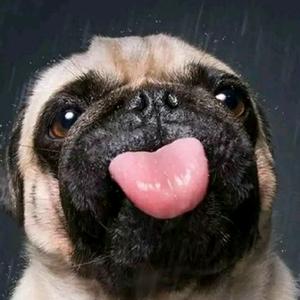 小超Man特别帅头像