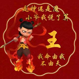 心辰大海头像