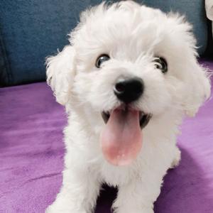 小奶包崽崽头像