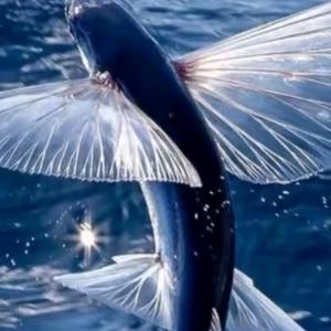 白手起家/宣城远嫁上海，毕业于养贤中学头像