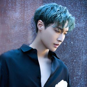 tobebetter2233头像