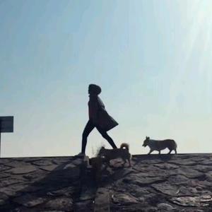 小锦民间故事头像