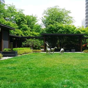 苏城幸福安家头像