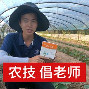 国光靓仔铭头像