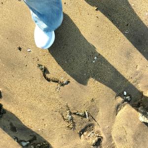 吃果果（橱窗好物）头像