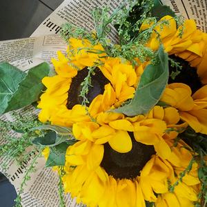 专升本机构测评小先锋头像