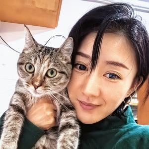 狸花一窝疯头像