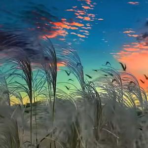 达芬奇•提莫头像