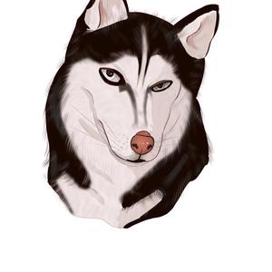 爱听音乐的二哈头像