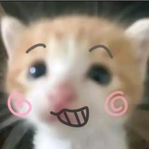 贪吃猫头像