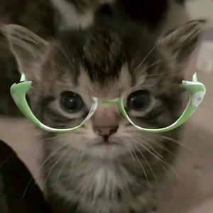 ꧁葬愛家族·加梨꧂头像