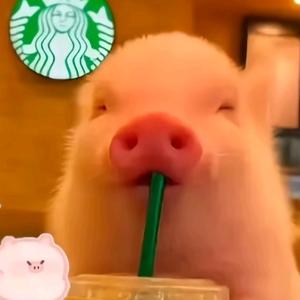 我的拼好饭被偷了🙄😭😡头像