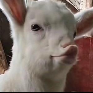 小九九九九九头像