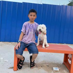 兜兜的英语冒险头像