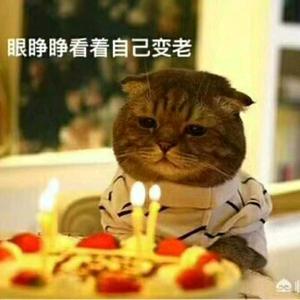 豫璧足疗用品批发～～头像