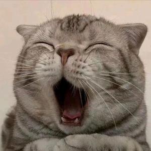 当代贝多芬头像