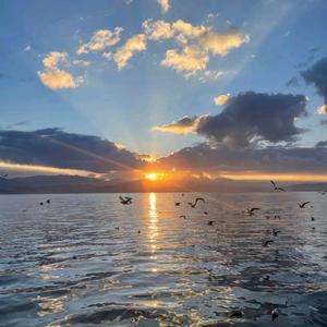 苏醒职场咨询头像