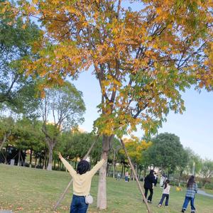 忧郁小眼神头像