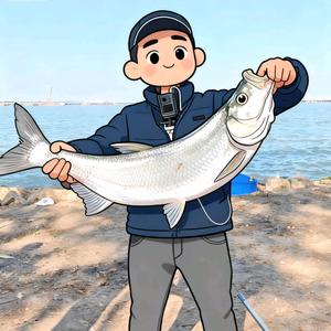 贺͜贺͜❀҉有名（Lure）头像