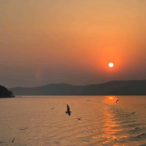 找点事儿做头像