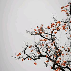 曹老师的初中数学课头像