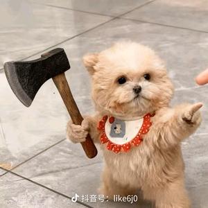 爆炸糖丶💥头像