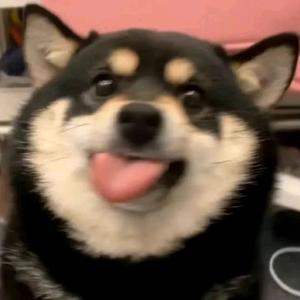 人潮拥挤我该远离头像