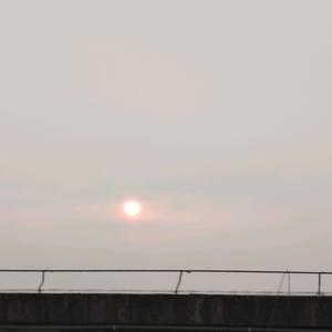 逐梦❤️星陈头像