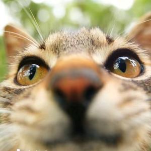 ⁺✞ʚ红夫人重度依赖ɞ✟₊头像