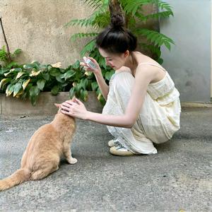 二十三头像