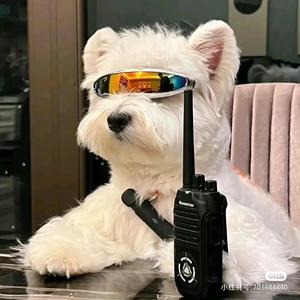 大麦麦大王头像