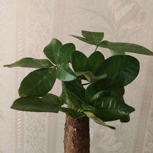 钰钰讲故事头像