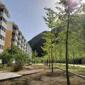 承德兴隆山景房头像