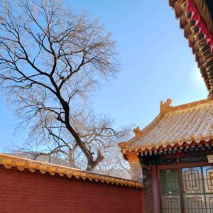 浩哥在努力头像