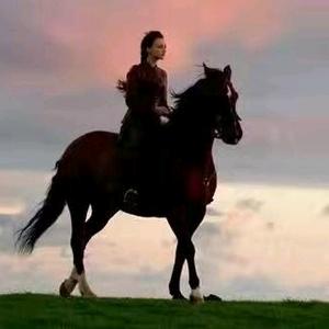 用户4637293862654头像